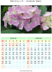 花カレンダー 紫陽花